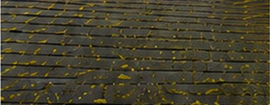 Toiture en ardoises couverte de mousses et de lichens avant nettoyage par drone